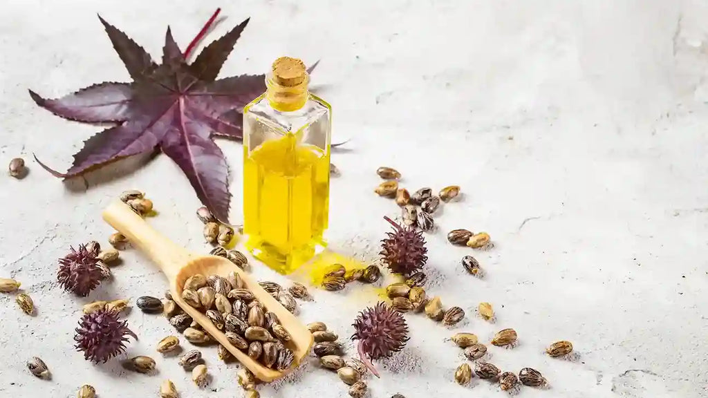 Magic Or Myth, Castor Oil For Skin, Hair, Lashes And Brows