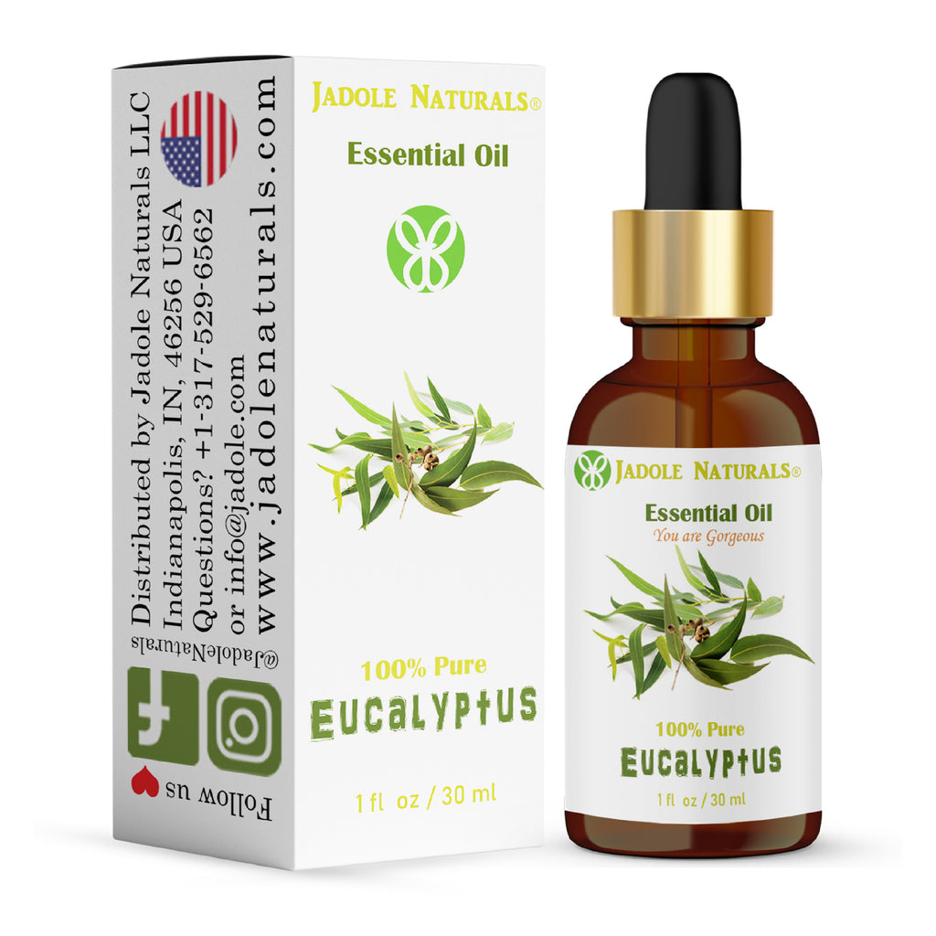 eucalyptus